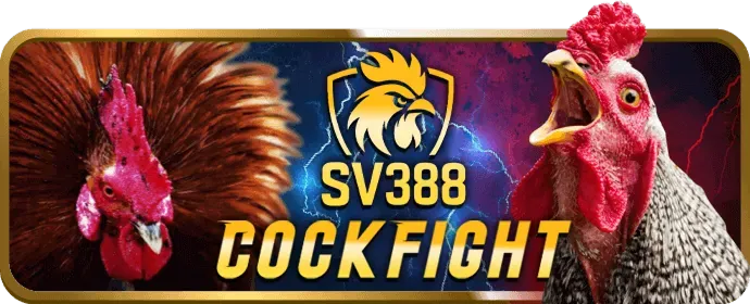 Hình ảnh minh họa casino trực tuyến với hướng dẫn chơi các game bài